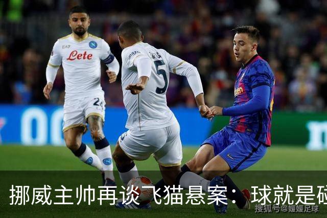 挪威主帅再谈飞猫悬案：球就是碰到了，若FIFA大方承认将更显格局