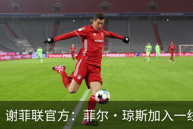 谢菲联官方：菲尔·琼斯加入一线队教练组，担任怀尔德助教